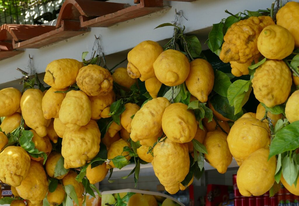 Escursione a capri il limoncello